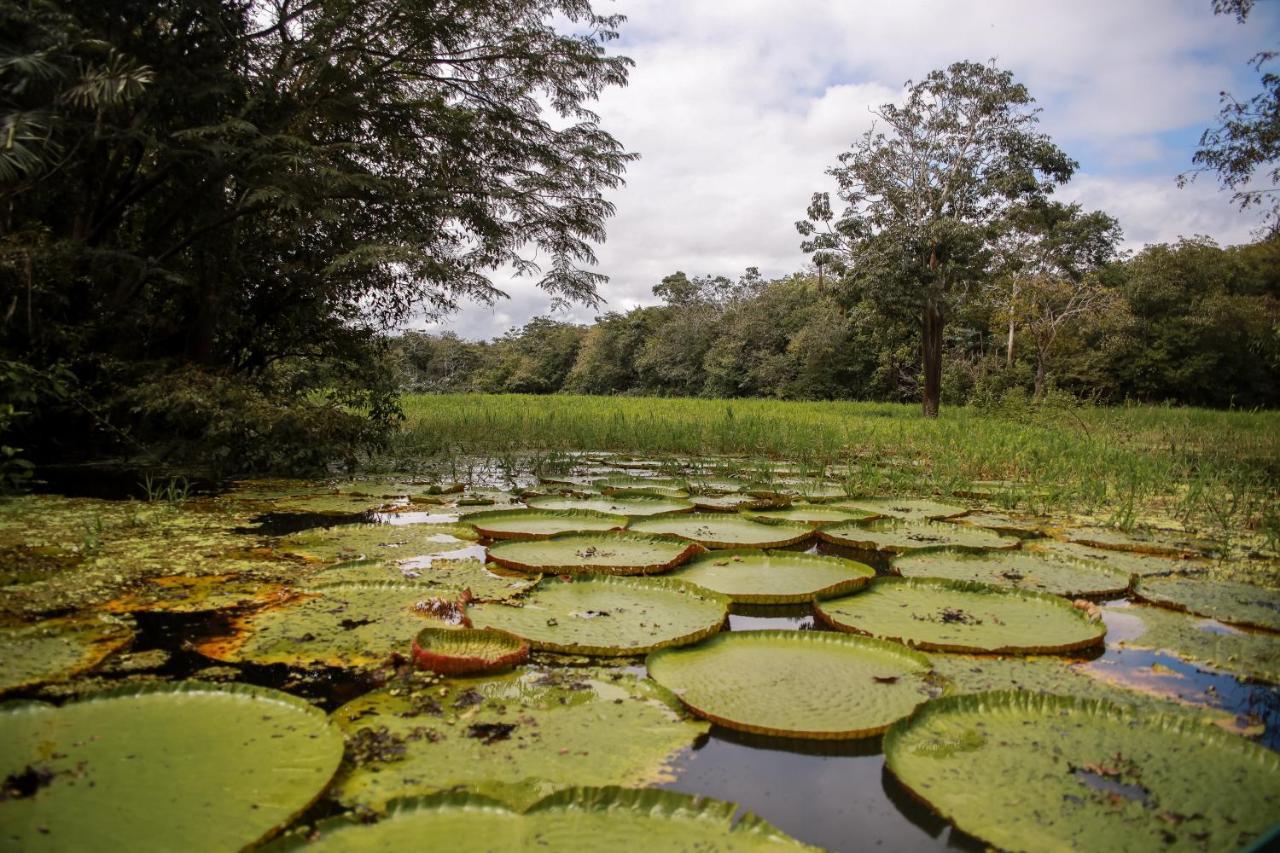 Amazonia Jungle Hotel Iranduba Exteriör bild
